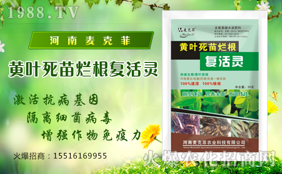 �����˷��r(n��ng)�I(y��)��ףȫ����(j��ng)�N�����w�������f�����⣡