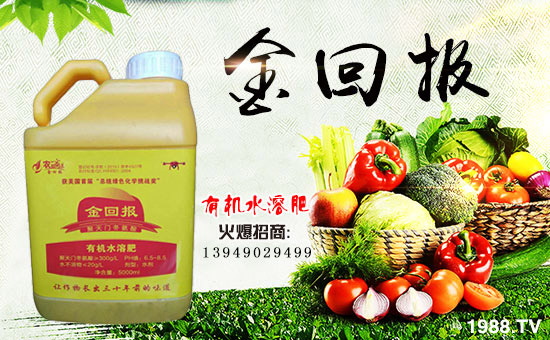     ����؈��r(n��ng)�I(y��)��ף������µ�һ�������w�����������³����f�����⣡