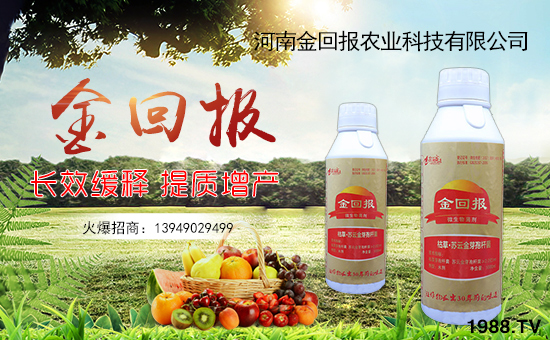     ����؈��r(n��ng)�I(y��)��ף������µ�һ�������w�����������³����f�����⣡