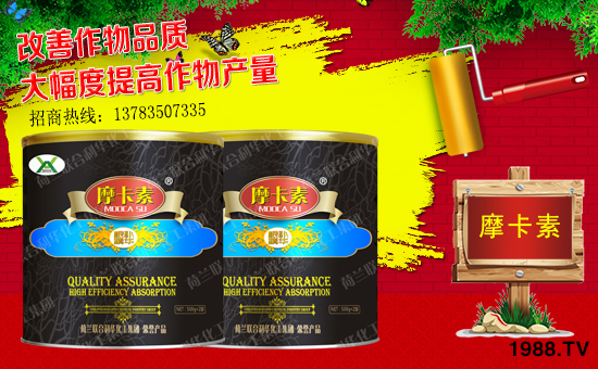 ����о���H��ף������µ�һ�������w���������������