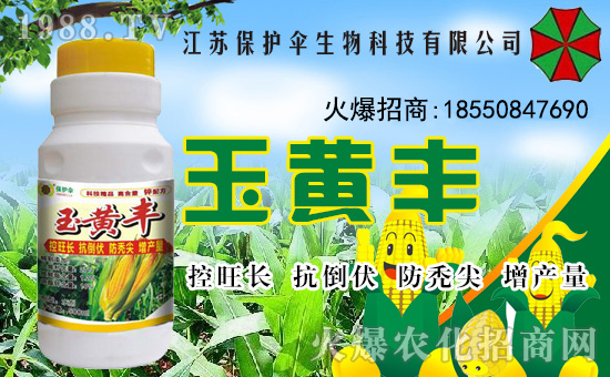 �����o�����ףȫ���������µ�һ���﹤�����������������