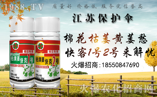 �����o�����ףȫ���������µ�һ���﹤�����������������