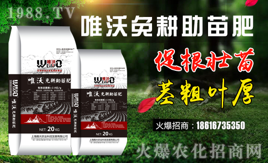 ���Ź��r(n��ng)�I(y��)��ף������µ�һ����ؔԴ�L�L��������𵽱���