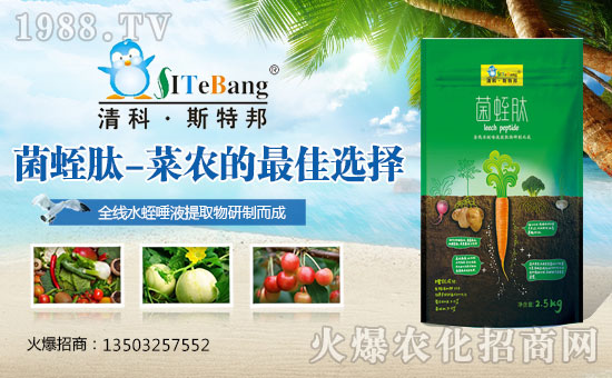     �����������ϏS��ȫ�w�T��ף��Ҽ���l(f��)ؔ�������³���