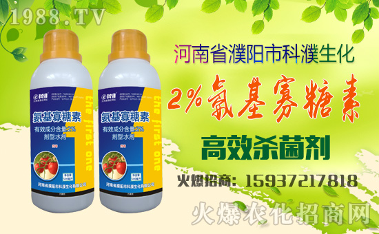 �����������ף������µ�һ���﹤�����������������