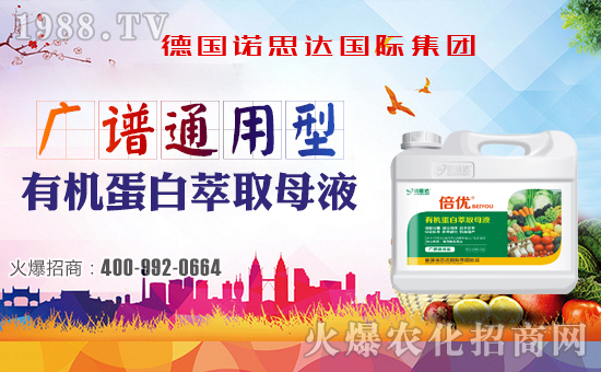 �����Z˼�_����ף����´��옷���Ҹ�������