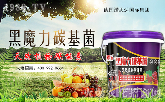 �����Z˼�_����ף����´��옷���Ҹ�������