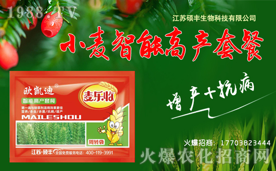 ���T�S���ף������µ�һ����ؔ�\�L�L�������d����