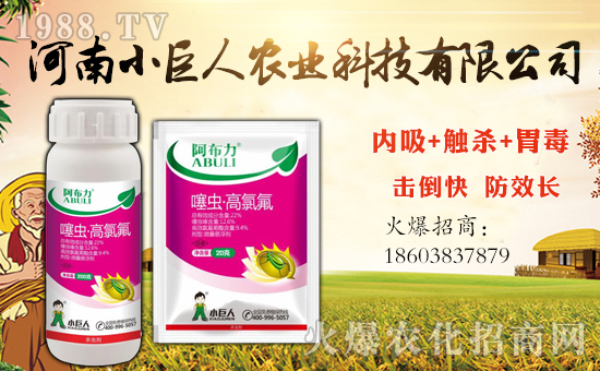 ��С�����r(n��ng)�I(y��)��ף������µ�һ�������w�����������³����f��������