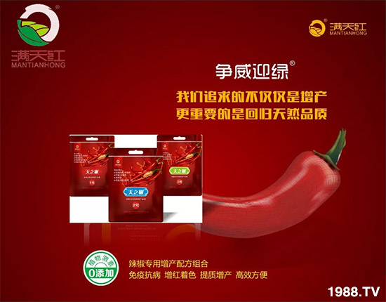 �����ϝM��t��ף������µ�һ���﹤�����������������