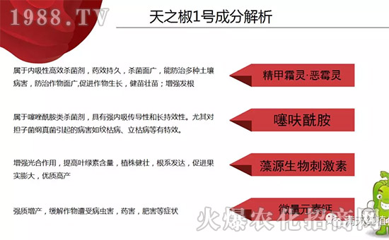 �����ϝM��t��ף������µ�һ���﹤�����������������