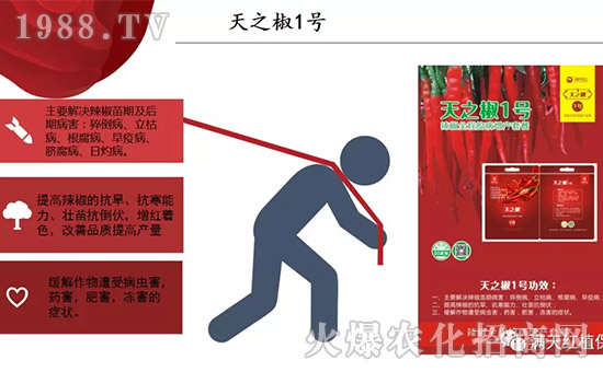 �����ϝM��t��ף������µ�һ���﹤�����������������