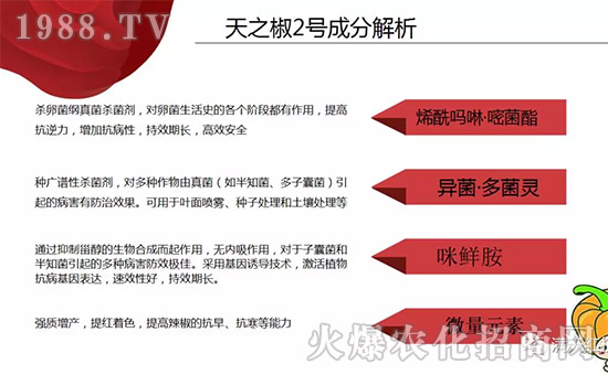 �����ϝM��t��ף������µ�һ���﹤�����������������