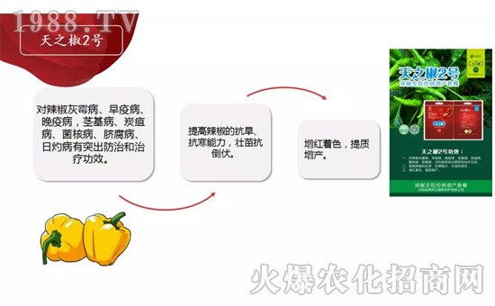 �����ϝM��t��ף������µ�һ���﹤�����������������