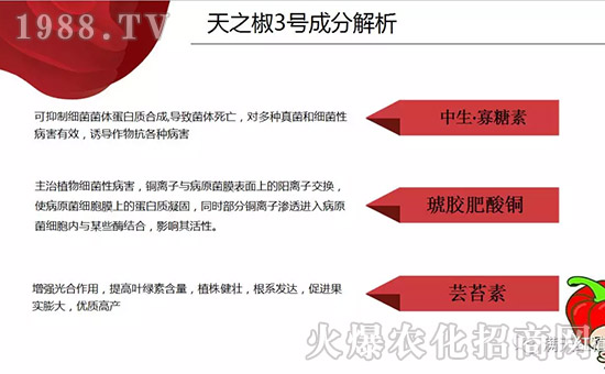 �����ϝM��t��ף������µ�һ���﹤�����������������