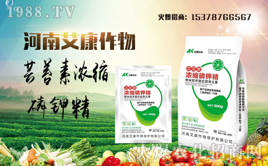 �����ϰ�����ףȫ��(gu��)��(j��ng)�N�����w�������i�꼪����