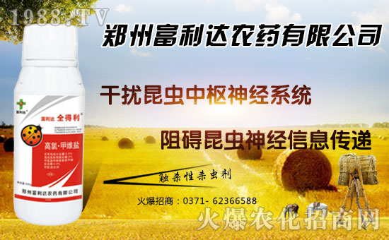 �������_(d��)��ףȫ���������µ�һ���﹤�����������������