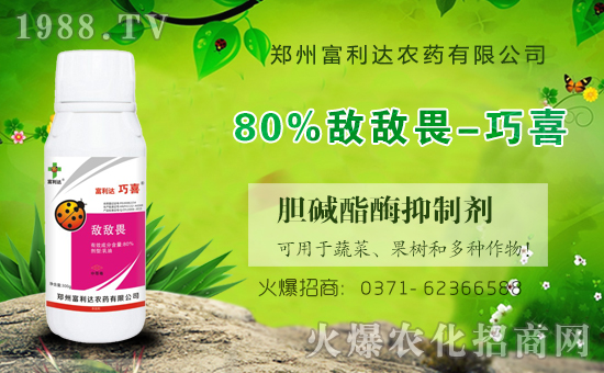 �������_(d��)��ףȫ���������µ�һ���﹤�����������������