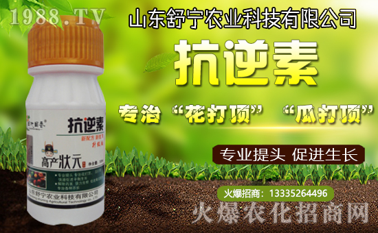 ���挎�r(n��ng)�I(y��)���������Ͽ͑�(h��)�´��옷(l��)�����۰�����