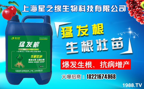 ����֮������ף����´��옷(l��)�����w�������H���Ҹ����f(w��n)��������