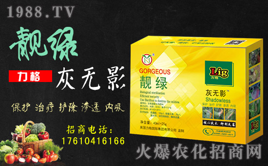 ��Ӣ������ף���g�gϲϲӭ���꣬�f������ƽ������