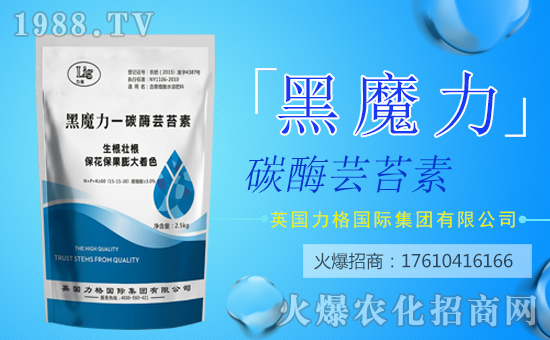 ��Ӣ������ף���g�gϲϲӭ���꣬�f������ƽ������