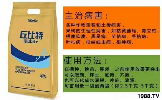 ��ʩ���_����ף������w�������H���Ҹ����i�����