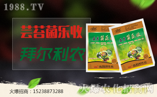 ���ݠ����r(n��ng)����ף�����������������ҼҼ�����