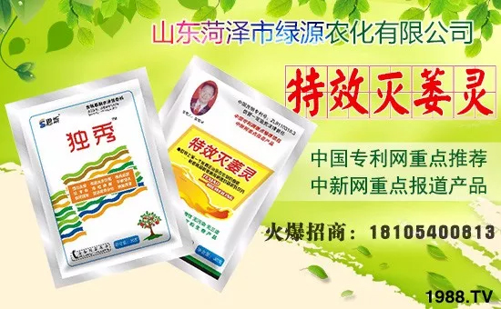     �ڴ�������R֮�H��ɽ�|�ʝ��оGԴ�r(n��ng)�����޹�˾ȫ�w�T��ף�����g�gϲϲӭ�i�����f������ƽ�������P(y��ng)ü����������I(y��)�ɹ��x�������ϼҚg���Ҹ��꣬���w�����f�f�������