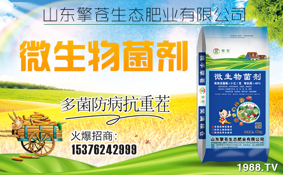 �����n���B(t��i)����ף���Ͽ͑��i���д��\(y��n)��ؔԴ�L�L����