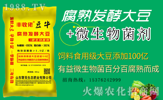 �����n���B(t��i)����ף���Ͽ͑��i���д��\(y��n)��ؔԴ�L�L����