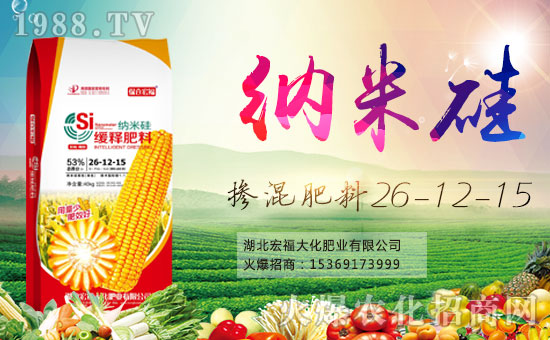 ���긣�󻯡�ף������µ�һ�������w�������f(w��n)�����⣡