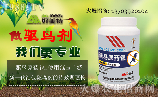 �����������ȫ�w�T��ף����´��옷(l��)������������