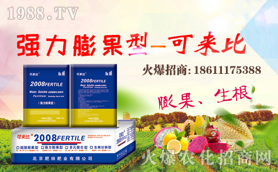 ������ʘI(y��)��ףȫ�����Ѻ��¶����Ц�ݶ����