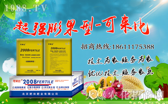 ������ʘI(y��)��ףȫ�����Ѻ��¶����Ц�ݶ����