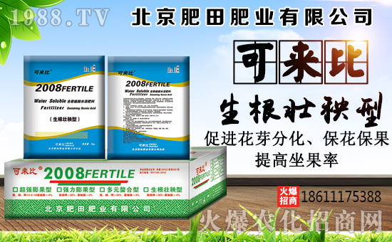 ������ʘI(y��)��ףȫ�����Ѻ��¶����Ц�ݶ����