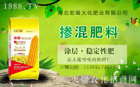 ���긣�󻯡�ף������µ�һ�������w�������f(w��n)��������