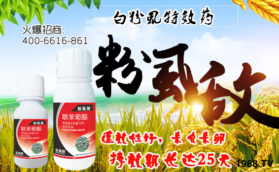 �����˹�r(n��ng)�I(y��)��ףȫ���������w�������f��������