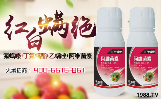 �����˹�r(n��ng)�I(y��)��ףȫ���������w�������f��������