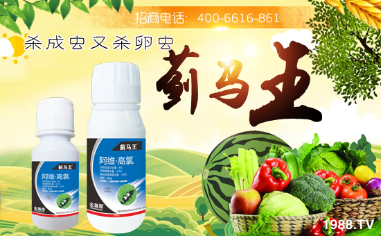 �����˹�r(n��ng)�I(y��)��ףȫ���������w�������f�����⣡