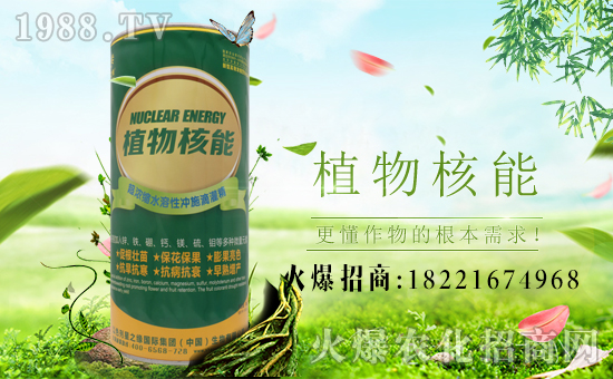 ����֮������ף����´��옷(l��)�����w�������H���Ҹ����f(w��n)��������