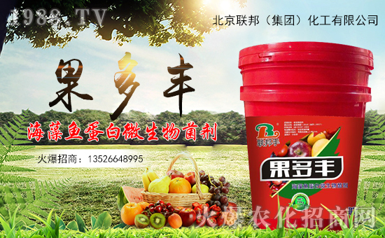 ������(li��n)�����ף�������옷�����¶����