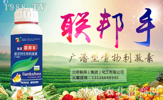 ������(li��n)�����ף�������옷�����¶����