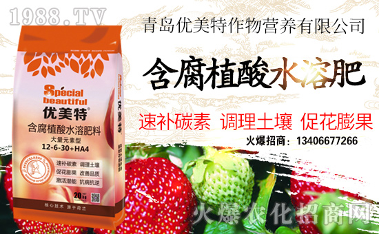 ����(y��u)�������ףȫ���������w�������f��������