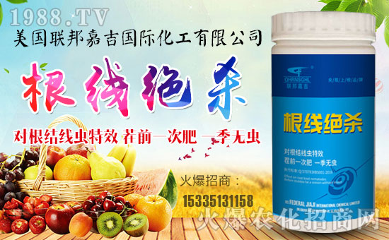 ��(li��n)��μ���ף������µ�һ���������³ɣ��f��������