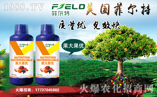 ���Ơ��ء�ףȫ����(j��ng)�N�����т����w���������������