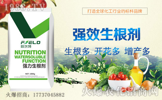 ���Ơ��ء�ףȫ����(j��ng)�N�����т����w���������������