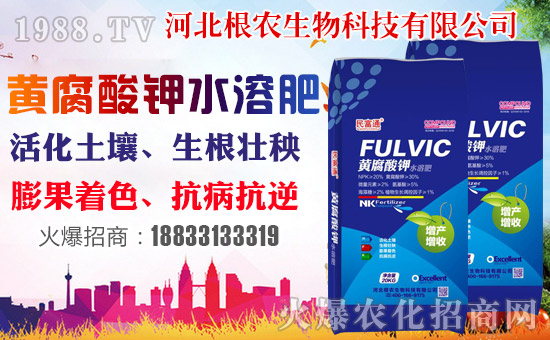 �����r(n��ng)�����ף������������옷�����꼪����