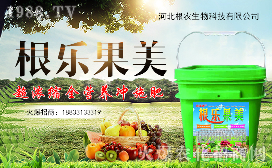 �����r(n��ng)�����ף������������옷�����꼪����