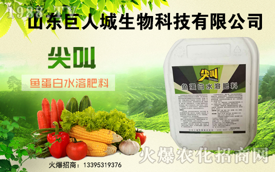 �����˳����ף������µ�һ�������w�����������³����f��������